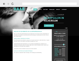 Website voor kapsalon